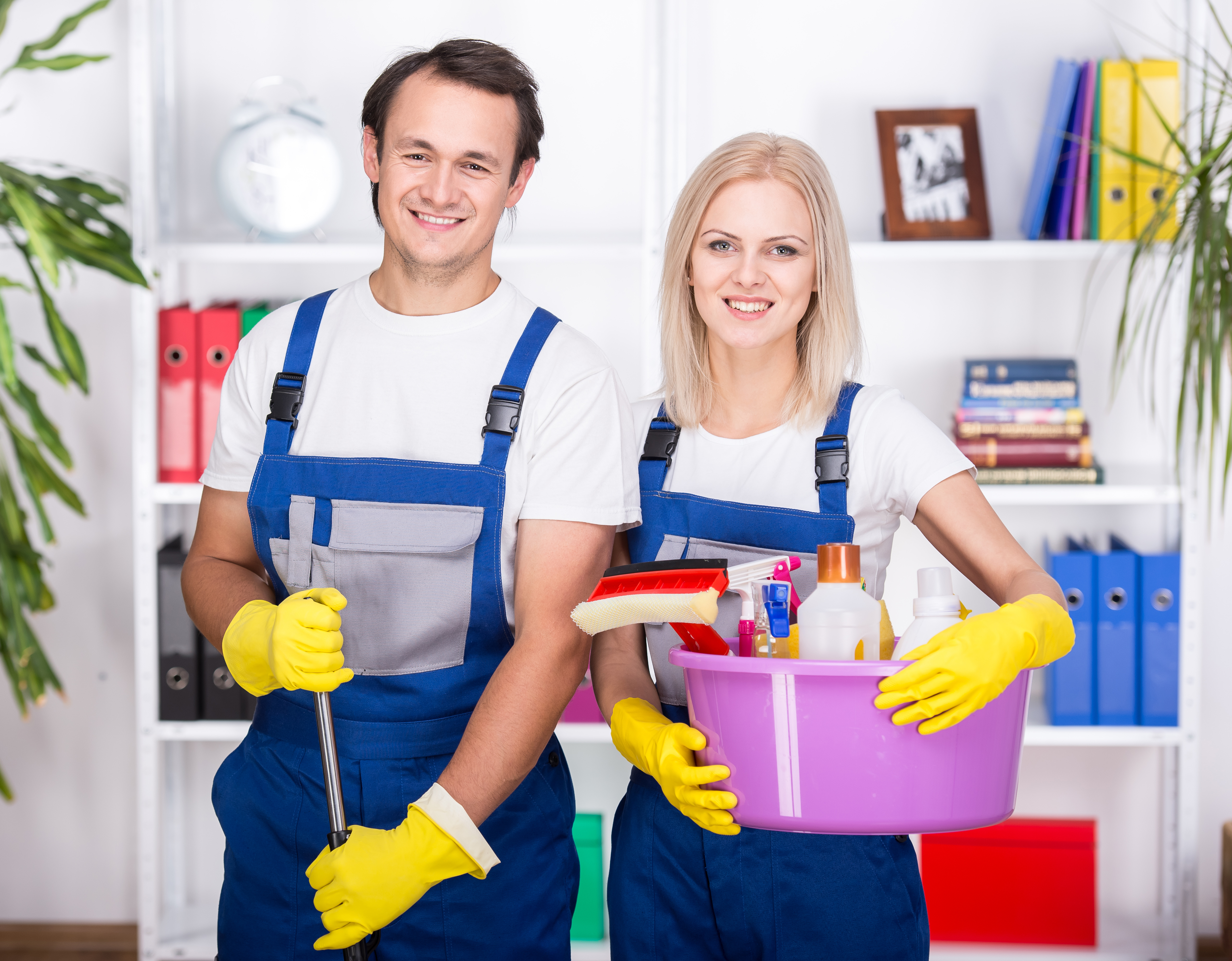 Cleaning job vacancies dunedin